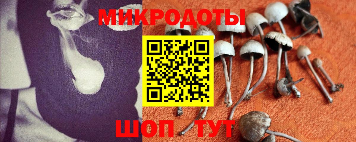 Псилоцибиновые грибы GOLDEN TEACHER  Вход с VPN  хочу   Ахтубинск 