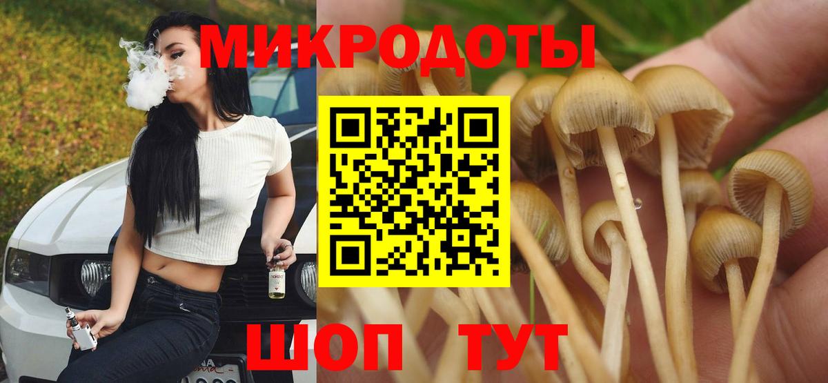 Галлюциногенные грибы прущие грибы Ахтубинск